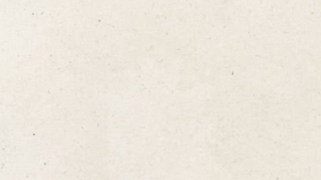 13 Off white Cover image